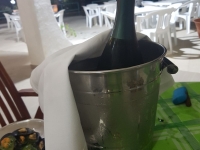 WhatsApp Image 2018-01-24 at 11.48.04(1)