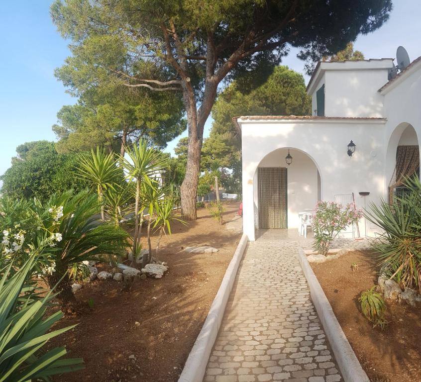 Monolocale 3 posti